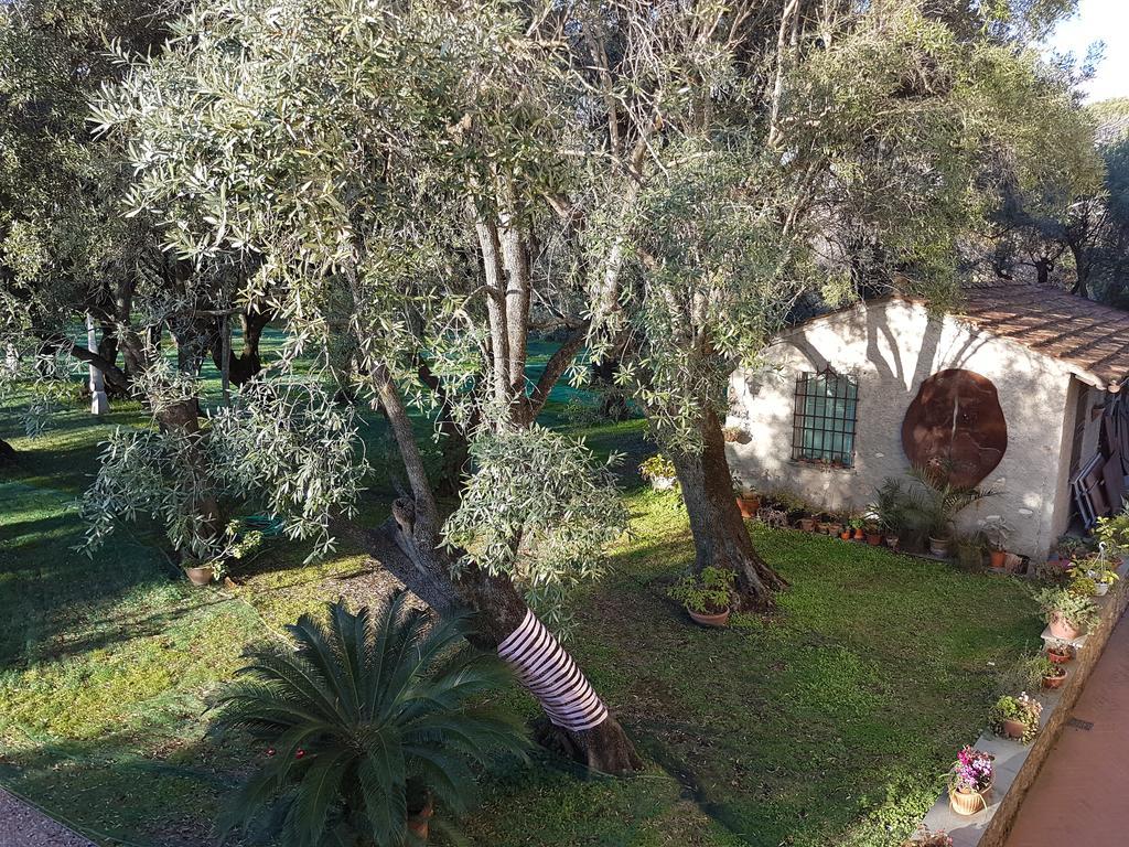Gasthaus Antico Uliveto Seravezza Exterior foto