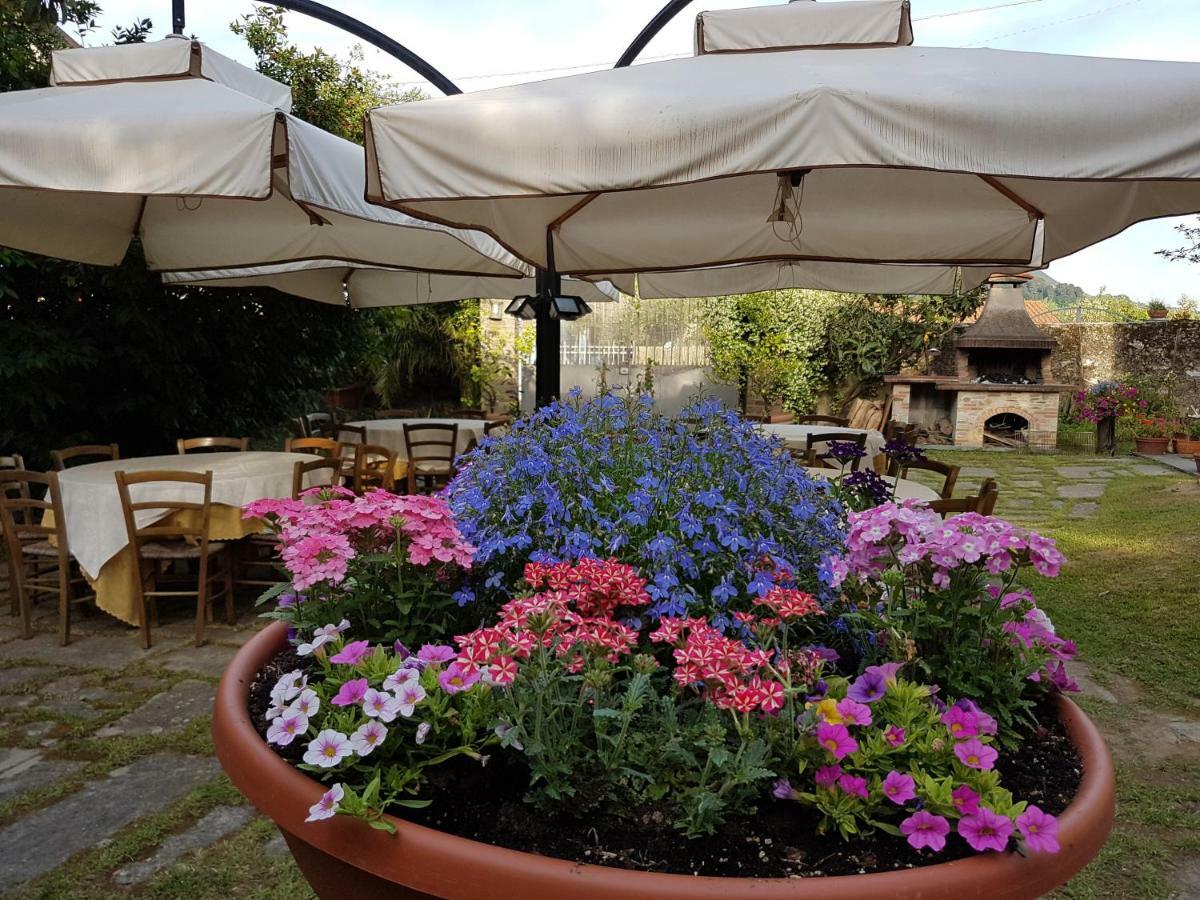 Gasthaus Antico Uliveto Seravezza Exterior foto